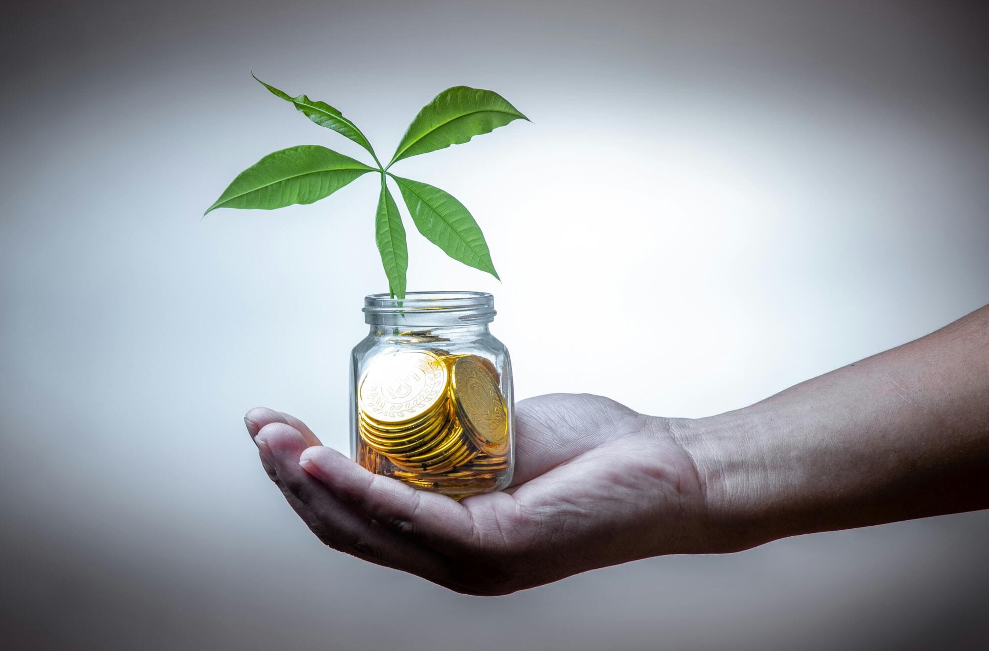 passive investment